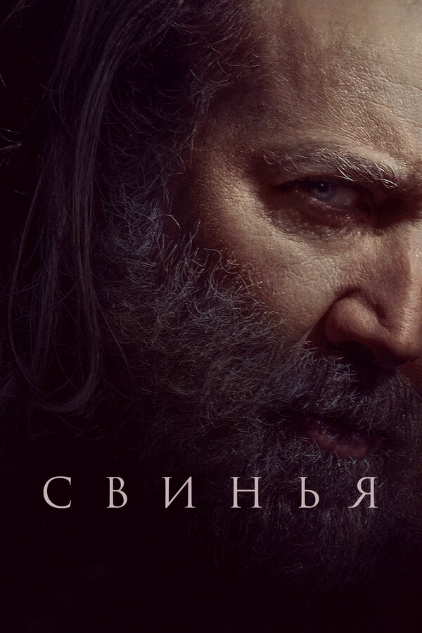 Свинья постер